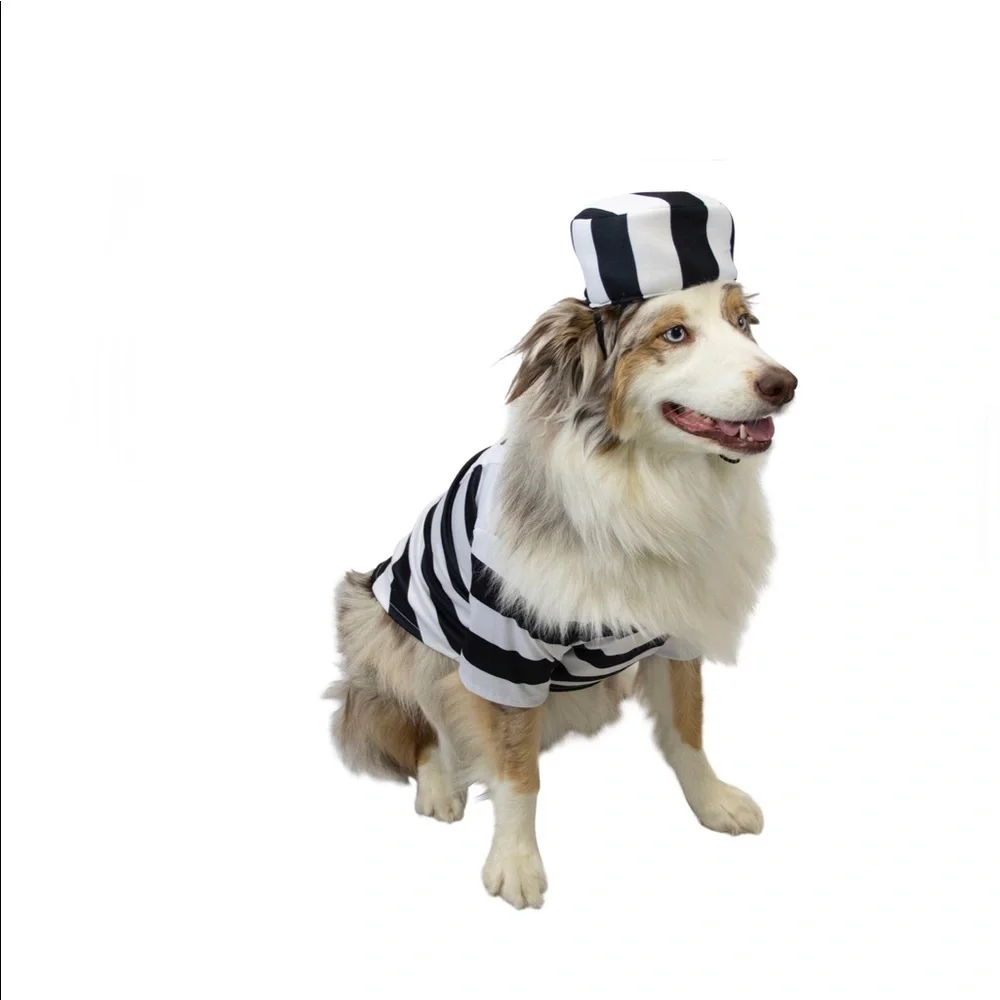 💥 HP 🆕 Maker's Halloween Pet Costume-Dog Pound Small